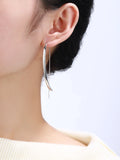 grosse boucle d'oreille argent