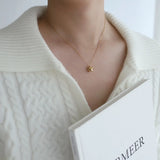 collier en acier inoxydable