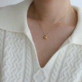 collier en acier inoxydable